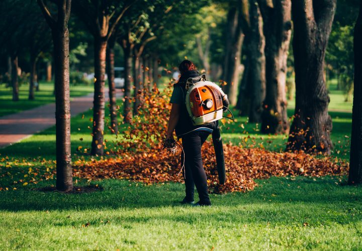 A woman operating a heavy duty leaf blower. Leaves being swirled up